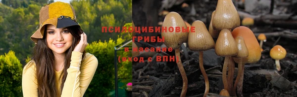 бутират Богородицк