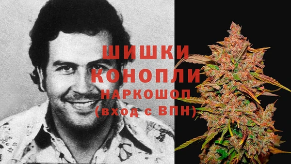 тгк Богданович