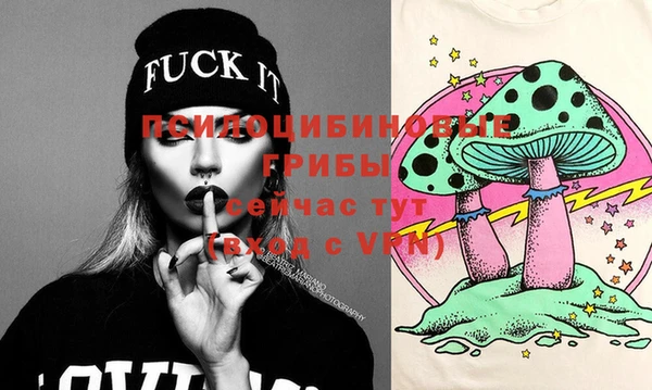 тгк Богданович