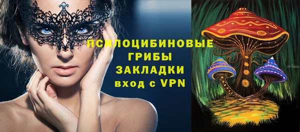 тгк Богданович