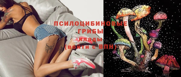 прущие грибы Гусь-Хрустальный